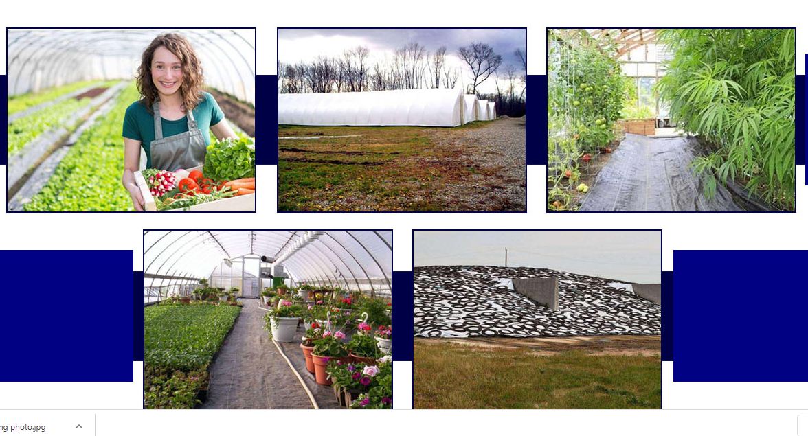 Agricultural PE Film, Agriculture Polyethylene, Film, mulch films, horticultural polyethylene film