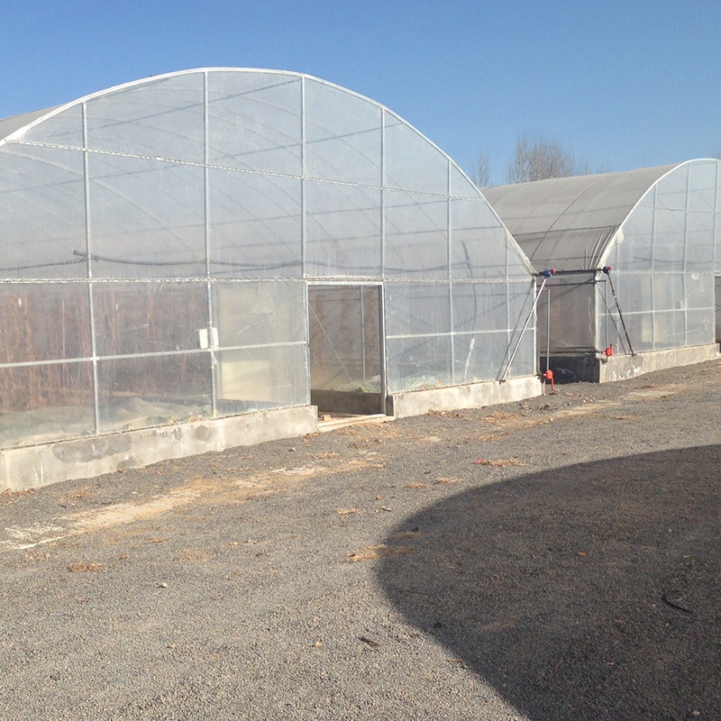 LiTai Greenhouse High Tunnel Greenhouse for Agricultural Plants Growing Instruction