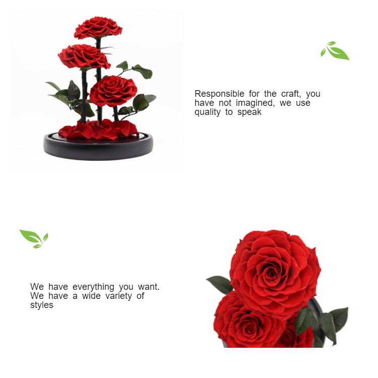 Real Touch Eternal Preserved Rose Glass Dome For Valentines Day Gift