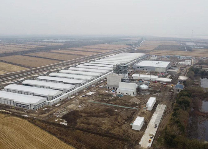 Light Steel Structure Poultry Farming Structures Poultry House