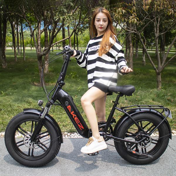 Led Display 30-50Km/H Lithium Battery Magnesium Alloy Soft Tail Frame Electric