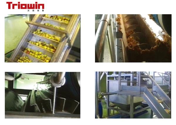 Industrial Fresh Apple Processing Line , Fruit Processing Machine Aseptic Bag