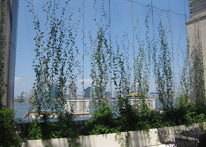 Rhombus Cage And Aviary Wire Mesh 1.5mm 1.6mm Erosion Resistant