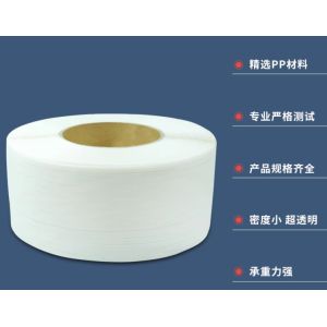 Memory System PP Strap Band Extrusion Line For Automatic Packing High Precision