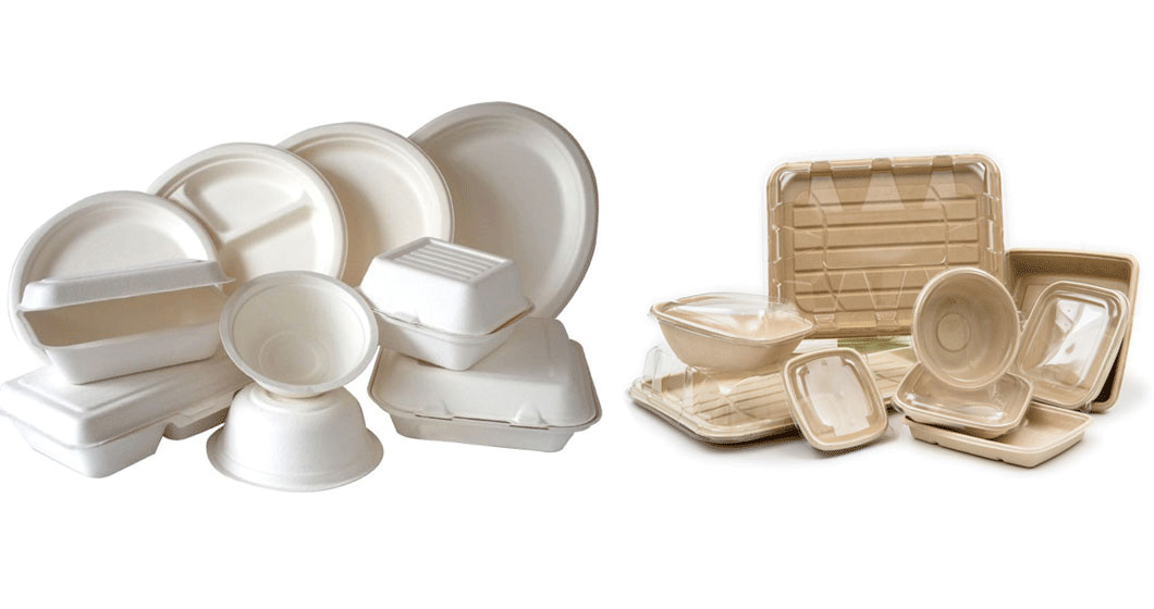Biodegradable Pulp Molded Food Packaging Equipment