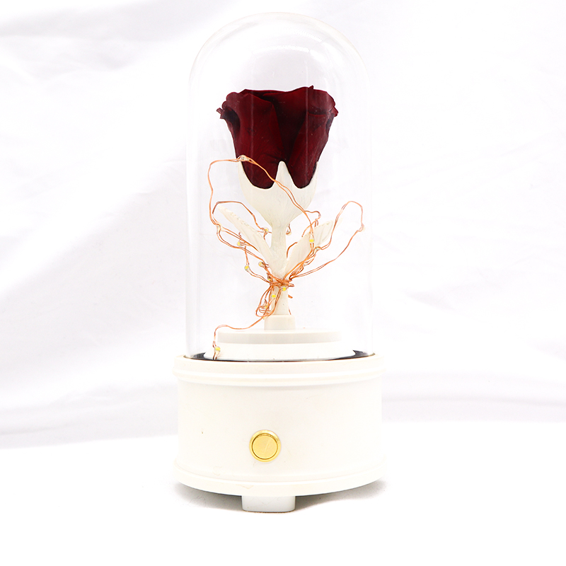 Wedding Gifts Gothic Dark Preserved Flowers In Glass With Bluetooth Speaker