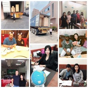 Multi-function automatic cookies bread wafer food packaging machine