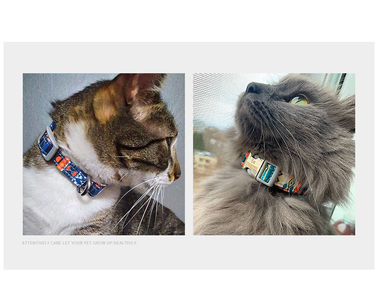 Personalize Design Harness Leash Set Injury Free Wearable For All Seasons