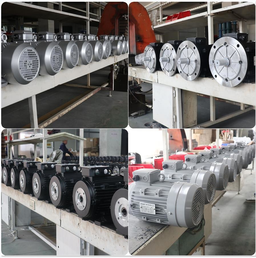 Zozhi High Torque Hollow Shaft Electric Motor 3kw 4hp For Interpump