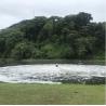 Buy cheap TSR High Speed Surface Aerator For Wastewater Treatment from wholesalers