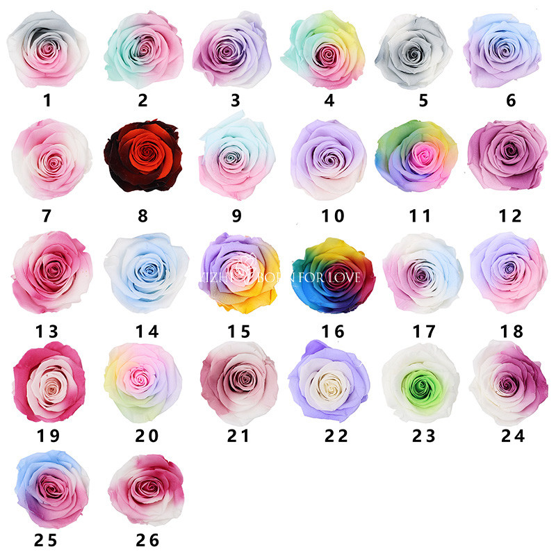 Long Stem Infinity Dried Long Lasting Roses In Box For DIY Projects