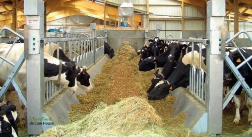 Long Span Prefab Steel Framing Systems Galvanized Steel Cowshed With Sandwich Panels
