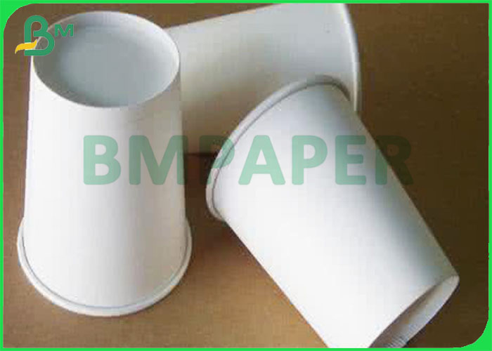 Coated Cup Base Paper