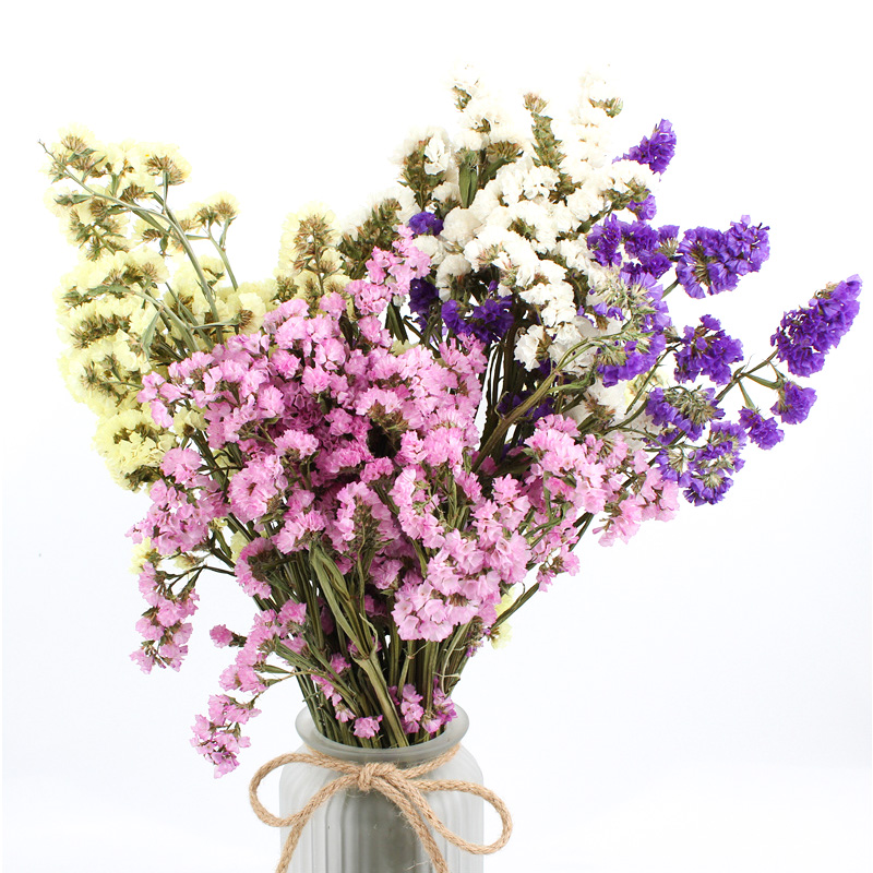 Statice Limonium Beautiful Dried Flowers Beautiful With Long Using Time