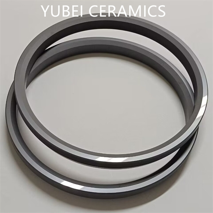 High Temperature Sic Ceramic Seal Rings For Industrial Applications