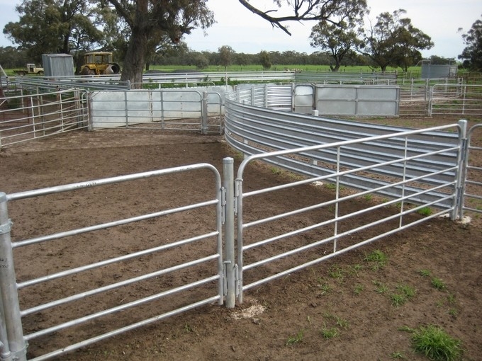 sheep panels for sale