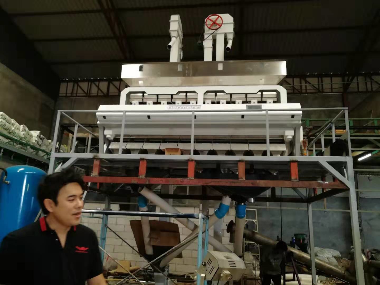 Peeled Peanut Almond Walnut Raisin Color Sorting Machine CCD 5 Chutes