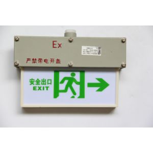 China WF1 Corrosion Resistant Flameproof Emergency Light with Customised Surface Pattern IP65 Degree on sale