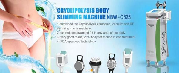 Hot!! Double Cryolipolysis Machine / cryolipolysis Slimming Machine