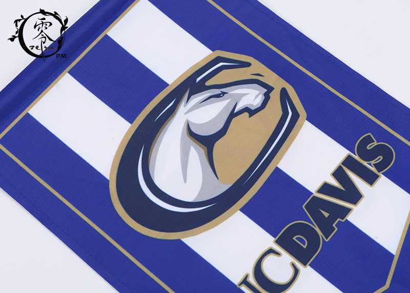 UCDAVIS Digital Printed Multicultural Flag Banners Pentagon Flag Size 9 x 15'' Customized with Tassel