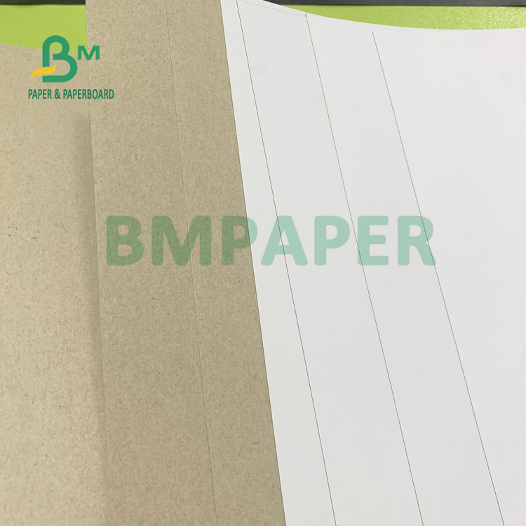 1mm White Duplex Board Grey Back Duplex Board High Rigidity 889mm X 1194mm