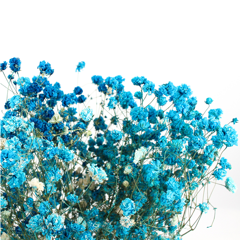 Multicolor Beautiful Dried Flowers Baby'S Breath Wedding Table Decorations