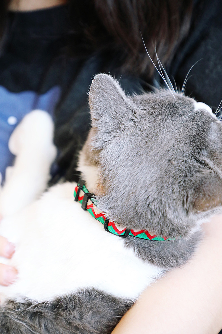 Personalized Green Velvet Safe Cat Breakaway Collar With Bell Soft Flocking Plastic Buckle