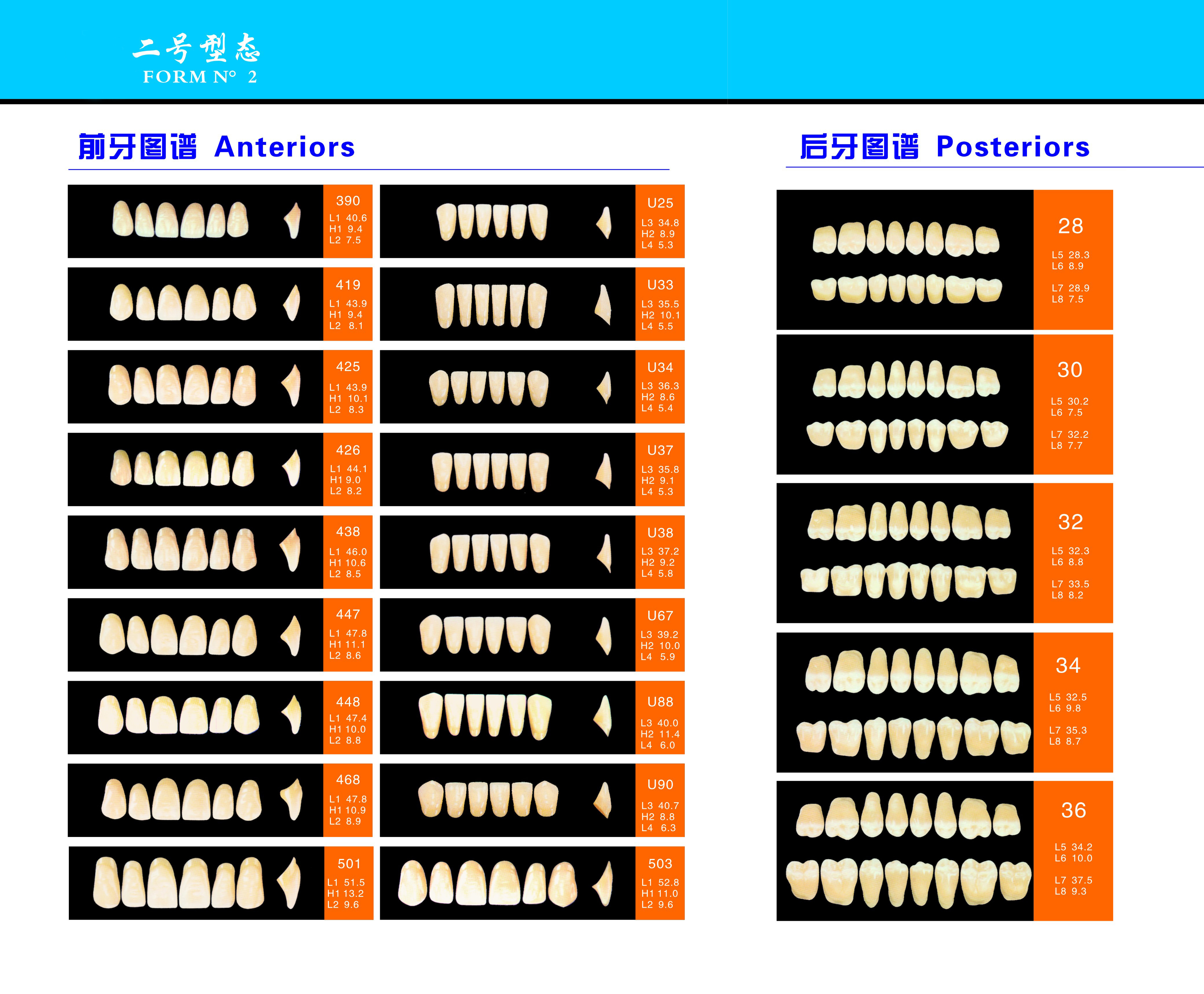 Dental Synthetic Resin Teeth Materials Multi Layers Composite False Teeth HSS3 HC3 M32
