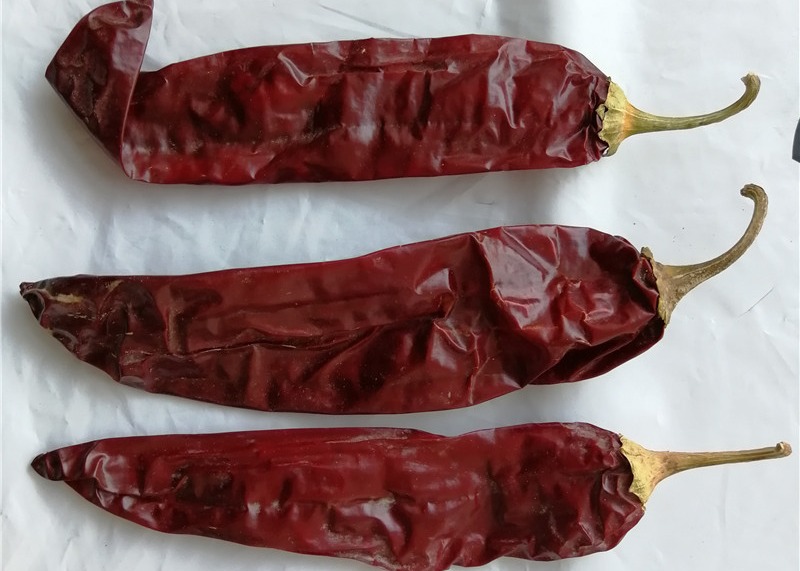 XingLong Dried Paprika Peppers 16CM Dehydrated Red Chili Pods