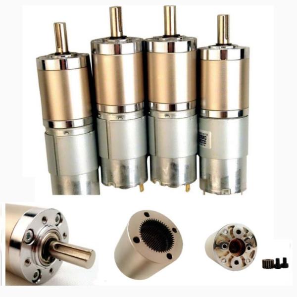 Faradyi Customized 12v Powerful Dc Motor High Torque High Rpm Gear Motor 30kg