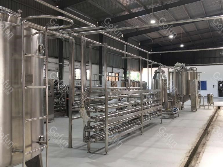Industrial Turnkey Mango Processing Line With Destoning Removing System