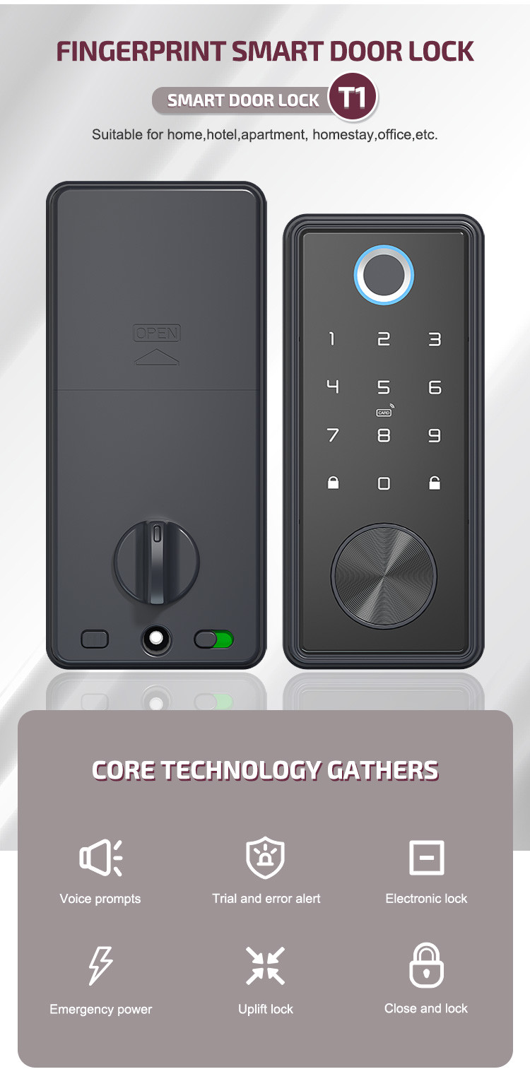 Commercial Wifi Door Lock Work With Alexa EKey IC Card App For Home Hotel Office