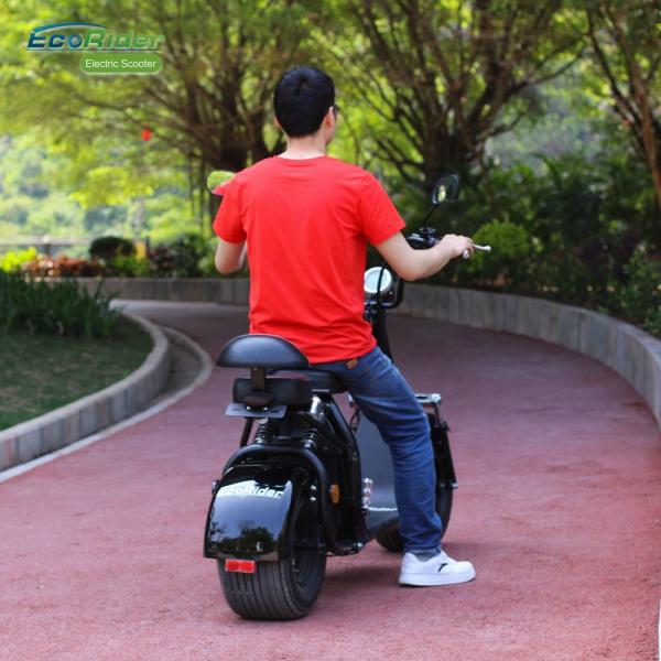 EcoRider Smart Cool 18inch 60v 1500W Harley 2 Wheel Electric Scooter With