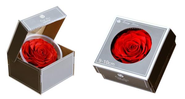China factory Real Preserved Rose in Gift Box for Decoration Gift Preserved