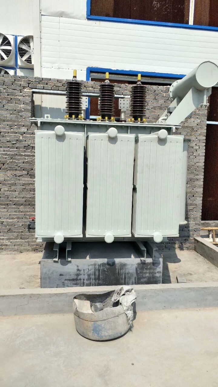 400v 11kv Hydropower Distribution Oil Transformer Customized