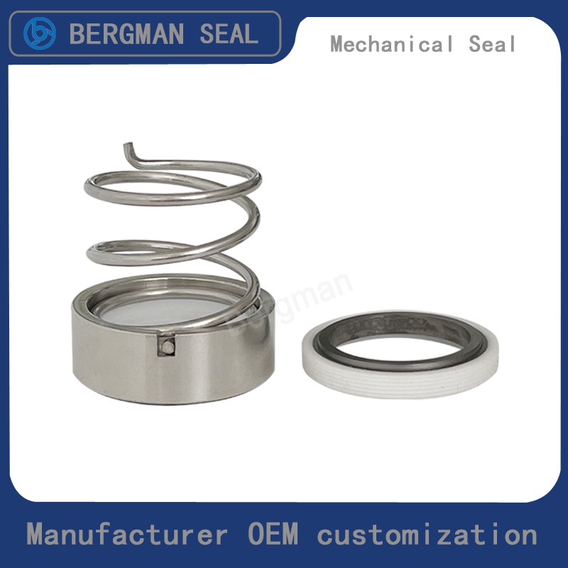 M37G M3N 18mm-90mm G60 G4 G6 G9 G13 G16 BS Bo BP Pump Mechanical Seal