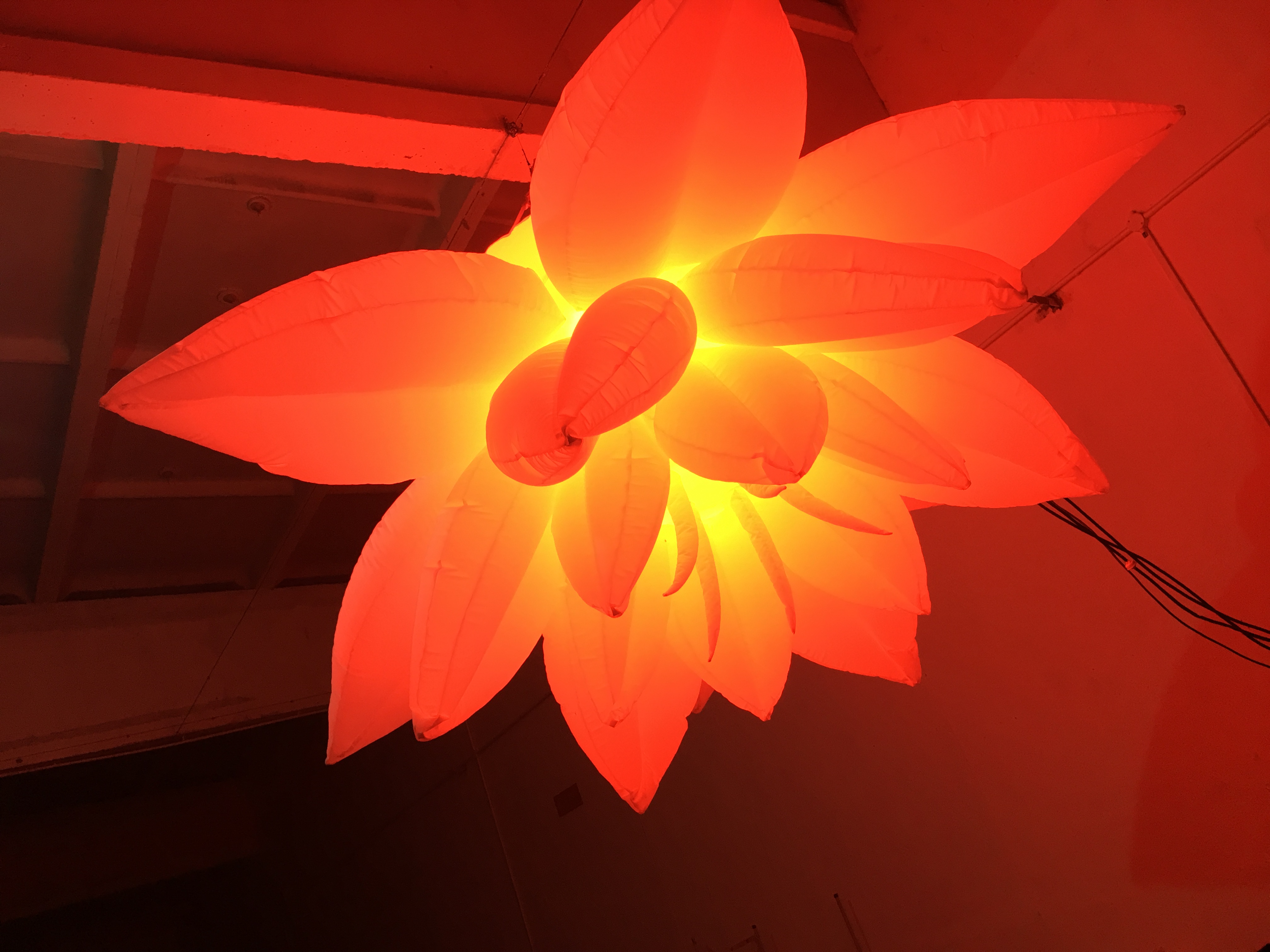 Wedding Decoration Inflatable LED Light Colorful Large Inflatable Flowers