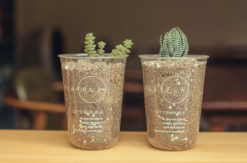 Corn Stach Coffee Biodegradable PLA Cups Transparent 700ml Environmentally Friendly