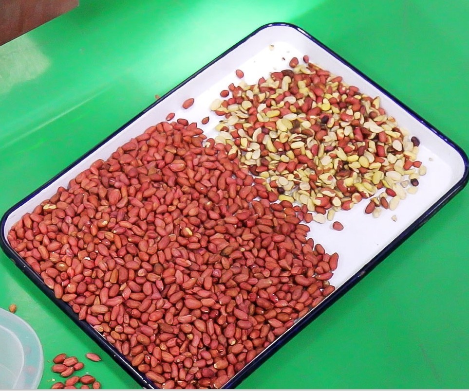 Wenyao Macadamia Color Sorter Nuts Color Selector Machine Cashew Nuts Sorting Machine