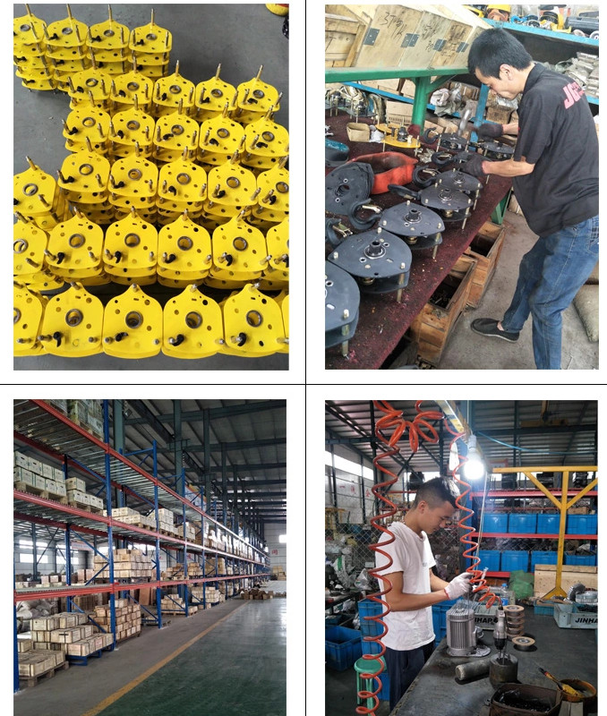 Forged Hook Hand Operated G80 9t Manual Lever Hoist
