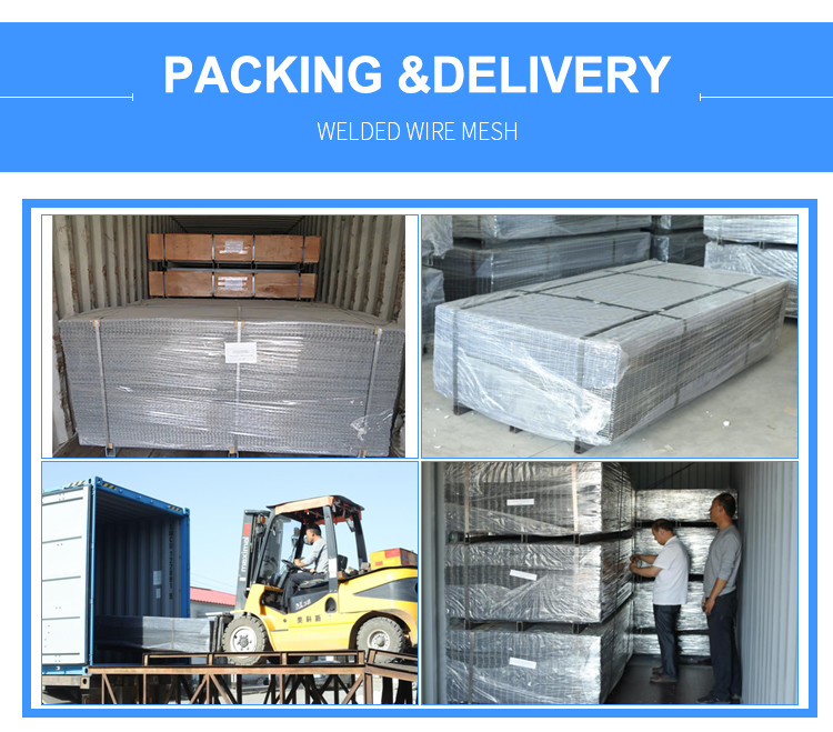 Galvanized Steel Welded Mesh Metal Fence Gi Wire Weld Iron Wire Net