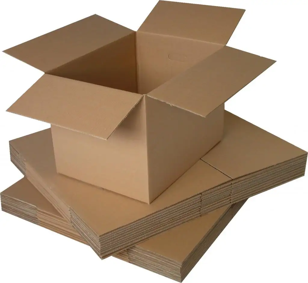 Animal Caskets And Coffins Cardboard Funeral Supplies Cat Paw Print Cylindrical Paper Scatter Tube Pet Ashes Cremation