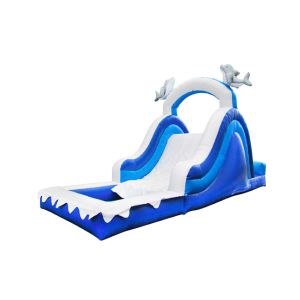 Aldult Outdoor Rental Inflatable Large Water Slides With Bouncy