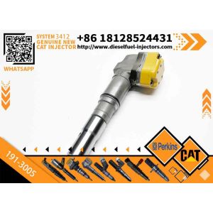 Common Rail Injector 191-3005 198-4752 198-6877 20R-4147 Engine Parts Fuel