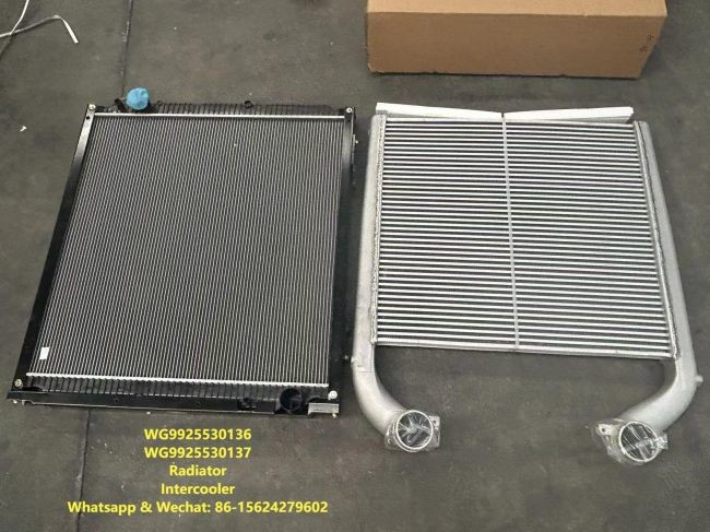 Radiator 712W06100-0005 HOWO Truck Parts Intercooler WG9925530136 WG9925530137 Water Tank