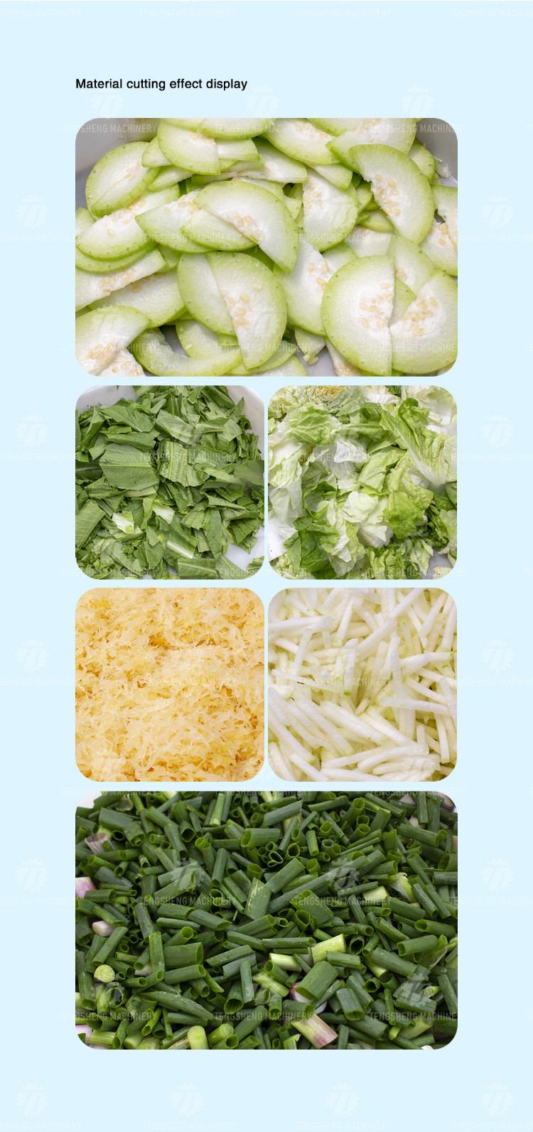 180KG Vegetable slicer large widening conveyor belt vegetable slicer cucumber lemon leaves cut into sections