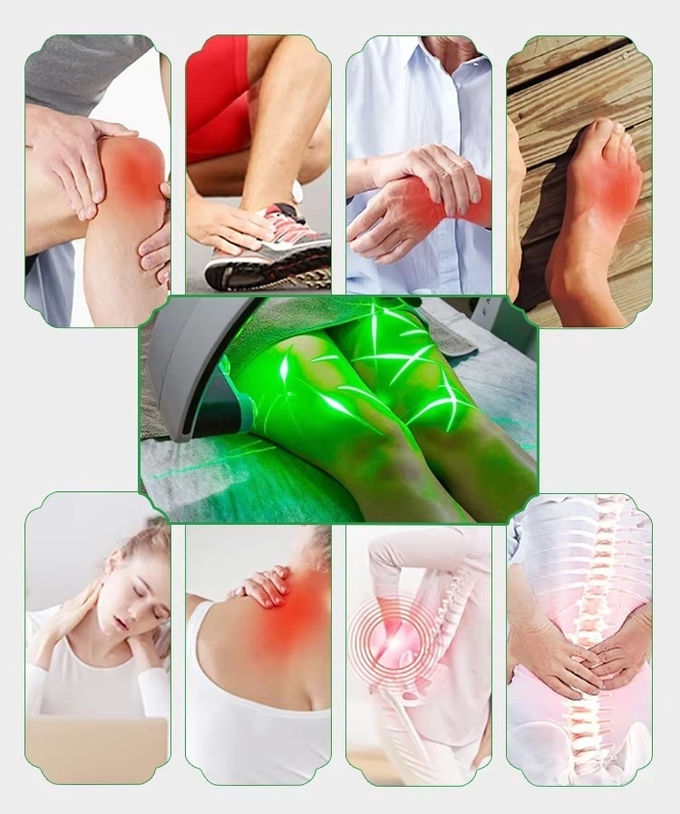 10D Laser Body Shaping Machine Fat Removal High Power 532nm Laser Weight Loss Cold Light