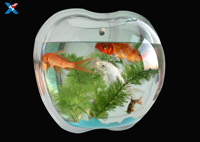 Clear Acrylic Drip Wall Hanging Fish Tank Aquarium / Custom Acrylic Fish Tanks
