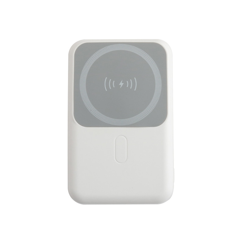 PC Portable Power Bank With Li Polymer Battery Small White Box Micro USB Type C Input Interface