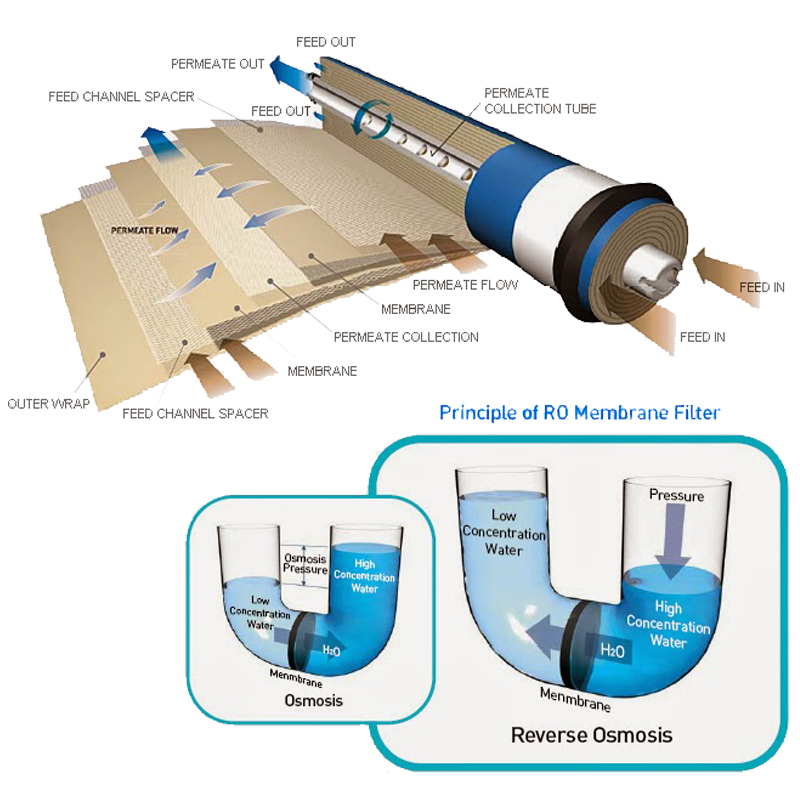 White 5 Stage RO Membrane Water Purifier and 3.2g Tank for Household Water Filtration